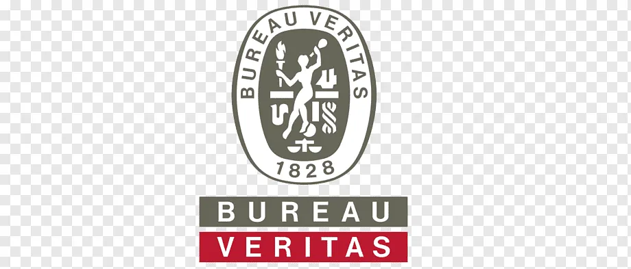 Bureau Veritas India Logo